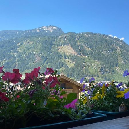 Pension Schwemberger Ohne Fruehstueck Mayrhofen Eksteriør billede