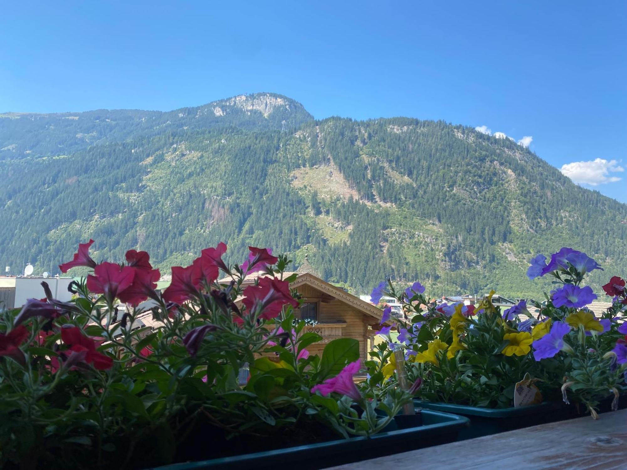 Pension Schwemberger Ohne Fruehstueck Mayrhofen Eksteriør billede